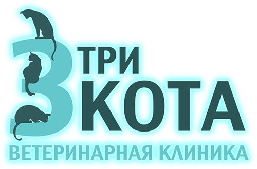 Ветеринарная клиника в Казани Три кота. Все виды ветеринарных услуг,  лечение животных Казань